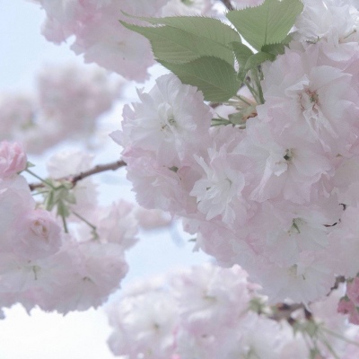 润州福瑞交流群